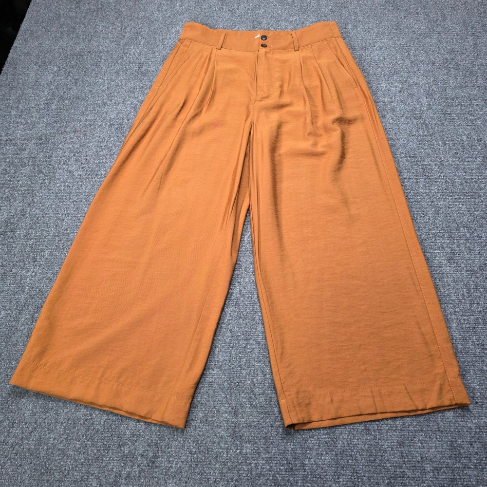 Madewell Tall Drapey Pleated Wide-Leg Pants Emmett Pants Terracotta Size 6 NWT